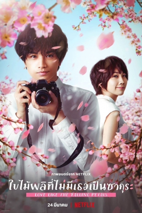 LOVE LIKE THE FALLING PETALS (2022) ใบไม้ผลิที่ไม่มีเธอเป็นซากุระ
