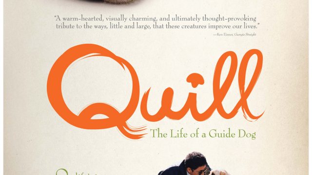 Quill The Life of a Guide Dog (2004) โฮ่งฮับ เจ้าตัวเนี้ยซี้ร้อยเปอร์เซ็นต์