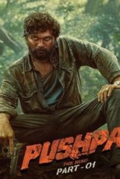 PUSHPA THE RISE PART 1 (2021) พุชป้า กลับมาตะลุย