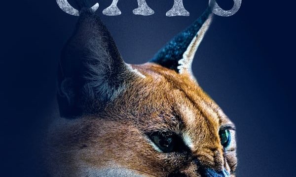 SHADOW CATS (2022)