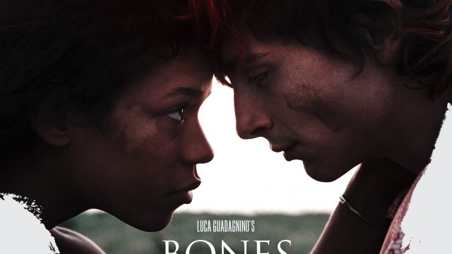 BONES AND ALL (2022) โบนส์ แอนด์ ออล