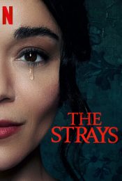 THE STRAYS (2023) คนหลงทาง พากย์ไทย